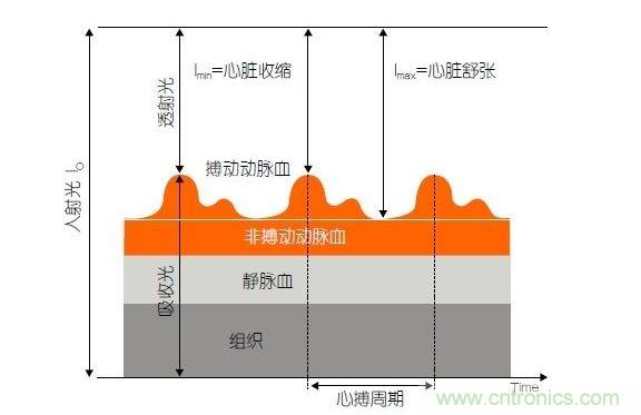 PPG測(cè)量中檢測(cè)器信號(hào)的產(chǎn)生。照射皮膚的光線(I0)被靜脈血或動(dòng)脈血吸收，或反射回檢測(cè)器。信號(hào)的變化分量對(duì)應(yīng)著與心跳同步變化的動(dòng)脈血流量。這個(gè)信號(hào)的變化周期指示了脈率。最小和最大檢測(cè)器信號(hào)的比值(光電流Imin/Imax)為判斷血氧飽和度提供了依據(jù)。