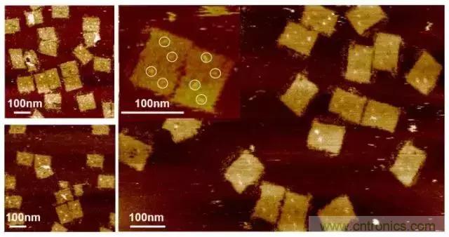 中美科學家聯(lián)手，用DNA納米機器人殺死癌細胞