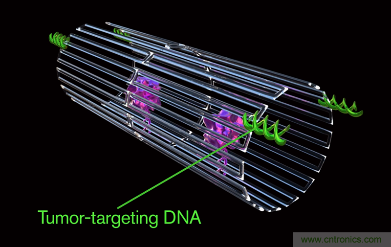 中美科學家聯(lián)手，用DNA納米機器人殺死癌細胞