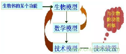 仿生傳感器的定義、原理、分類及應(yīng)用